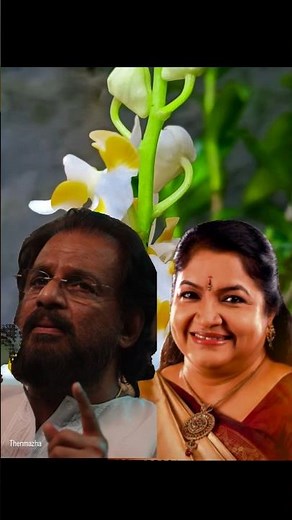 Mounam Sammadham|Kalyana Thennila. song lyrics #kjyesudashits #kschithra #ilayaraja #pulamaipithan