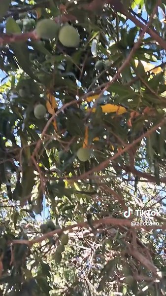 HOME SWEET HOME #viralvideos #whatalifewithzeccano