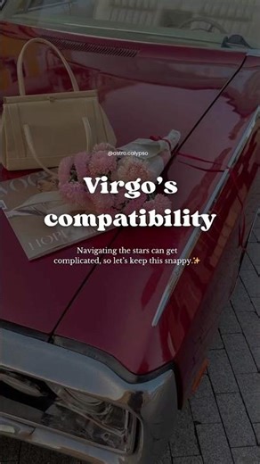 The ultimate Virgo compatibility check 👊