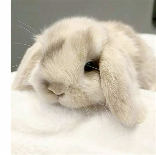 Death Note Fan Art: Amanemisa & Touta Matsuda