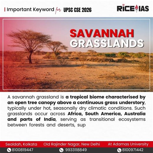 Judicial Activism Explained | Important Keyword for UPSC CSE 2026 | Polity & Constitution