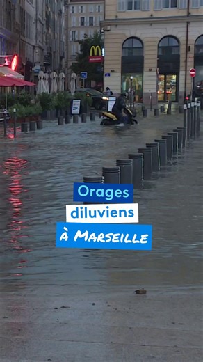 De fortes pluies orageuses se sont abattues en fin de journée ce 21 septembre. Plusieurs quartiers se sont retrouvés sous l'eau. De nombreux dégâts ont été recensés. Les pompiers ont été mobilisés pour assurer la sécurité des habitants. La rencontre OM-PSG a été reportée en raison de l'alerte orange. 🎥 Nathalie Ramirez et Thomas Imbert / FTV #deluge #orage #marseille #vieuxport #inondation | France 3 Provence-Alpes