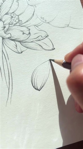 #viral #draw #fyp #drawing