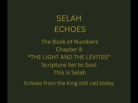 2. The Light and the Levites - Numbers chapter 8