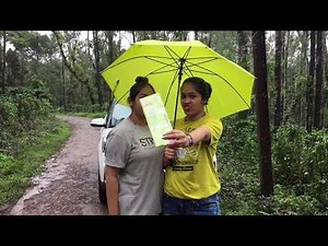 Pee Buddy - Freedom to Stand and Pee