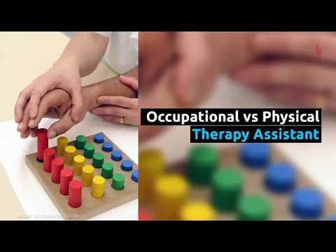 How does an Occupational Therapy Assistant differ from Physical Therapist Assistant