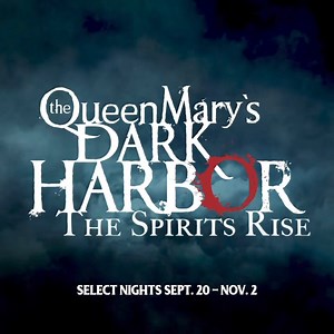 More videos you may like