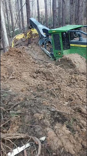 shanna*shanaynay* (@shanaynay_543)’s videos with original sound - IAM Chris