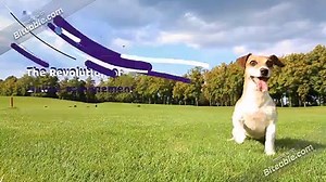 Smart Attendance App | online attendance management system | Attendance app