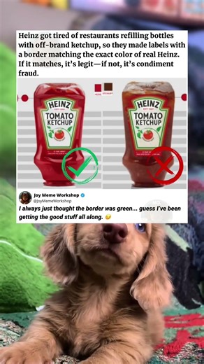 How To Spot Fake Heinz Ketchup Instantly 🍅🕵️‍♂️ #memes #funny #pets