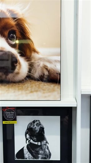 Black Friday has arrived at Snappy Snaps for the very first time! Shop now for 20% off framed wall art from 28 November - 1 December 﫶 | Snappy Snaps | Facebook