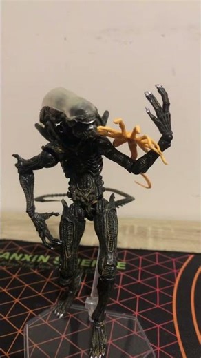 facehugger☺️#alien