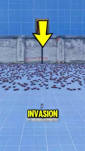 Before You Vacuum That Cockroach... Watch This! 😱🪳