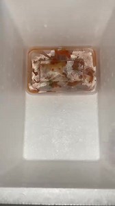 Set 6$ bbq Kim chi 1 box | Home Hot Pot