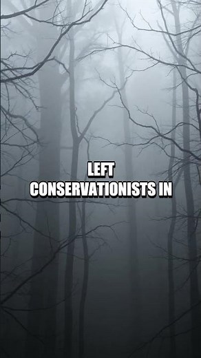 The Vanishing Voice of the Laughing Owl