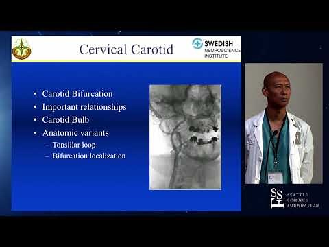 Angiographic Anatomy Review - Yince Loh, MD