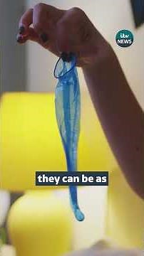 Rise in women who use natural contraception methods seeking abortions #news #itvnews #contraception