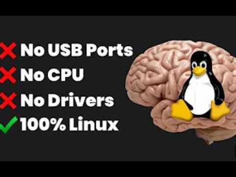 I Installed Linux in my Brain