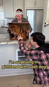 He Gave His Girlfriend a Dog