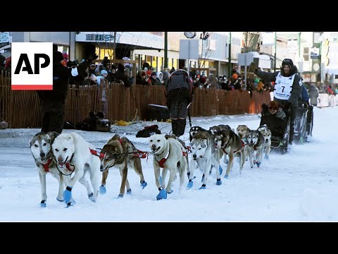 Canine deaths cast shadow over Alaska's Iditarod dog sled race