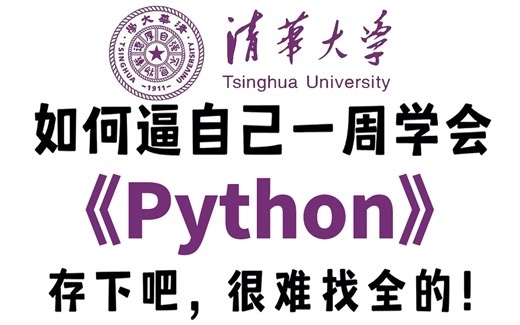 【全170集】清华大佬196小时讲完的Python教程，从零基础入门到精通全套教程，全程干货无废话，这还学不会up直接退出IT圈！！