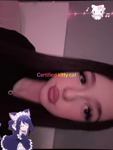 Hello Kitty Family Creations