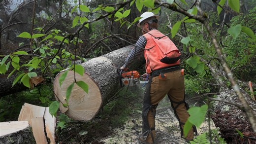 SW Virginia luthier Jackson Cunningham of Cunningham Handmade Instruments built a beautiful guitar be raffled off in support of our friends at The Handmade Music School. The origins of the guitar the top and braces have a special story... “In the fall of 2024, Hurricane Helene touched down in the Appalachian high country. In the Grayson Highlands of Virginia a grove of Red Spruce trees were toppled by the powerful winds. It was an area I was very familiar with, just a few minutes drive from my s