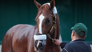 American Promise trainer, jockey, owner and more to know about 2025 Preakness horse