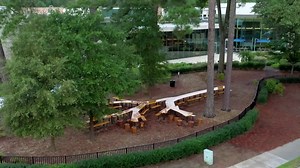 887 reactions · 320 shares | From curated gardens to native Piedmont forest, no other place in Atlanta captures the variety of landscapes that have shaped our city’s history. Join us outside and enjoy all 33 acres of our Goizueta Gardens. | Atlanta History Center | Facebook