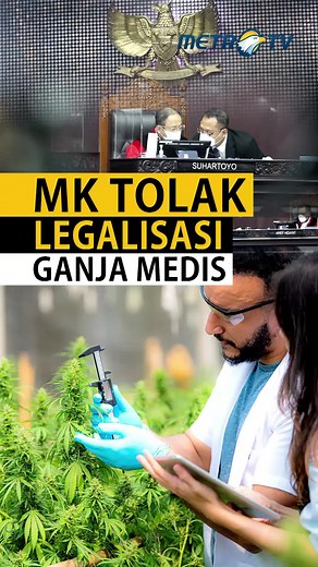 MK Tolak Permohonan Legalisasi Ganja Medis di Indonesia