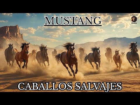 MUSTANGS: Wild Horses of the Old West │ FULL DOCUMENTARY