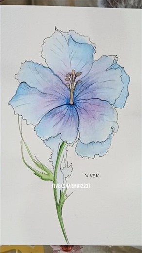 The Art of Transparent Flower Watercolors
