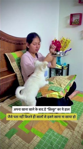 Sadiyon ka bhukha ll Sadiyon ka bhukha ll #papa #funny #family #love #fun #viral #shorts #puppy #dog