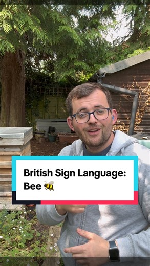 What’s the new sign in British Sign Language today? Sign is #Bee #🐝 ! @hivemindmead @hiverbeers Join me every day for new signs in British Sign Language! Note: I’m from the South of the UK, so some signs are regional! #bees #honey #honeycomb #beekeeper #garden #deaf #bsl #sse #signlanguage | The Deaf Chef