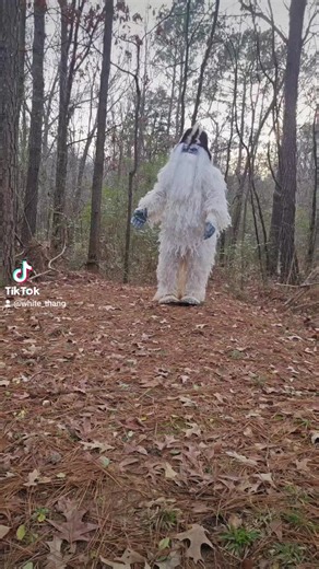 Stunning Alabama Photography by Hollie Bright