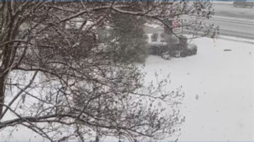 We’re seeing big, fluffy snowflakes outside WLTX. What are you seeing where you are? | WLTX News19