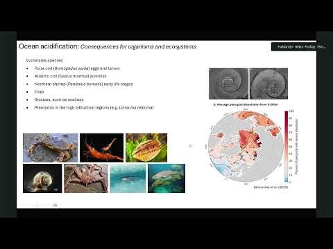 Navigating Arctic Ocean Protection: Current Status and Future Directions