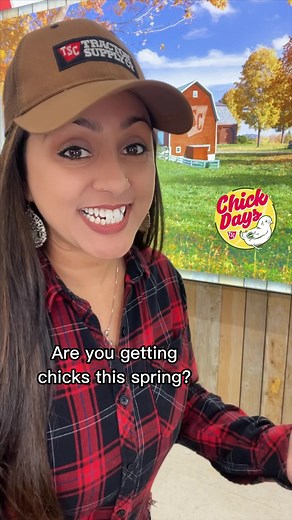 10 Things to Know Before Buying Chicks | Chick Days Preparation