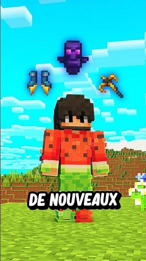 Cette vidéo est réservée uniquement aux joueurs de Minecraft!