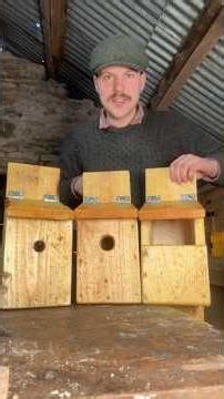 Building Bird Nest Boxes #woodworking #nature #birds #wilderness #ireland