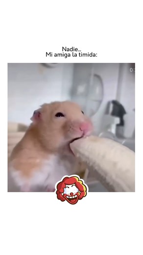 7K views · 42 reactions | Nadie, Mi amiga la timida: #memennials | Memennials | Facebook