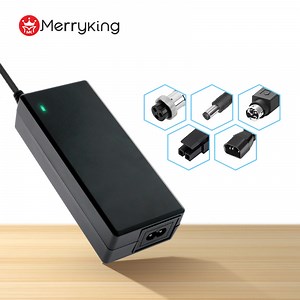 [Hot Item] Compact 60W AC to DC Adapter for Various Devices