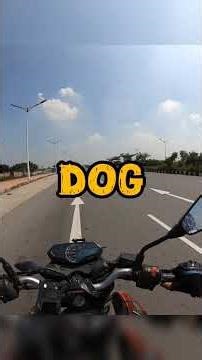 Mechanism of the motion Feed Dog in a Sewing Machine. #fypシ #fypシ゚ #education #textile #sewing