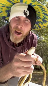 Nope rope in the chicken coop! What would you do? is this a murder Skeberter? #noperope #nope #chickens #ratsnake #murderskeberter #snake #boopnoodle | James Weston