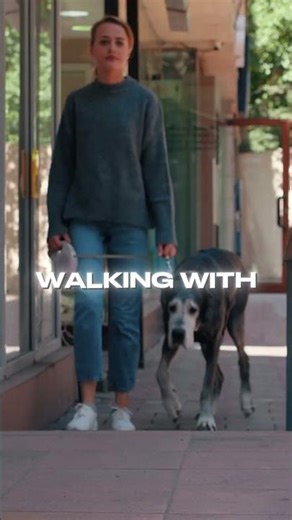 What Your Dog Is Really Dreaming About 🌙