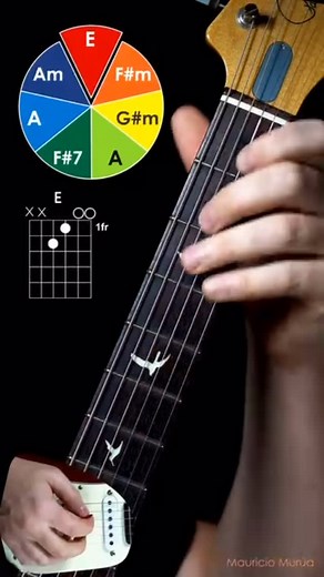 Guitar Player Hub on Instagram: "🎸 Mastering Open E Tuning! 🎸 Open E tuning (E-B-E-G#-B-E) is a fantastic way to explore new sounds and unleash your creativity on the guitar! This colorful chord wheel shows you some key chords to get started in Open E: 🎯 Chords to practice in Open E: • E Major • F#m • G#m • A Major • Am • F#7 Notice how Open E simplifies playing these chords, often letting you slide shapes up and down the neck. It’s a go-to tuning for slide guitarists and creates a dreamy, re