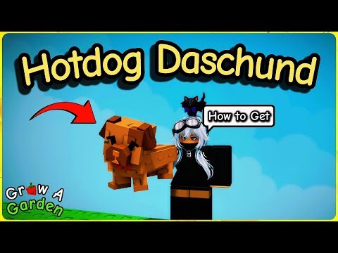 How to Get the HOTDOG DASCHUND in Grow a Garden (Roblox)