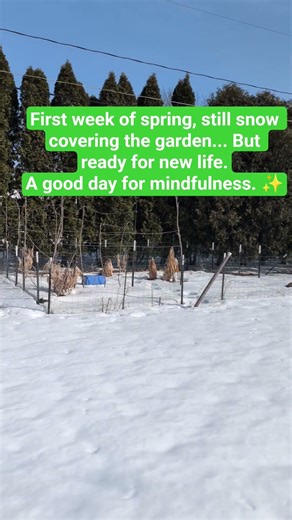 ✨Love those first signs of springtime #mindfulness #springvibes #dailymotivation