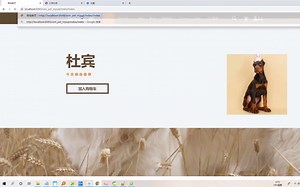 Java产品:在线宠物商店系统(java+SSM+mysql+maven+tomcat+完整源码+调试部署)
