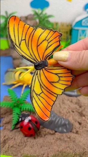 Discovers Amazing Insects and Bugs!! #challenge #insects #fun